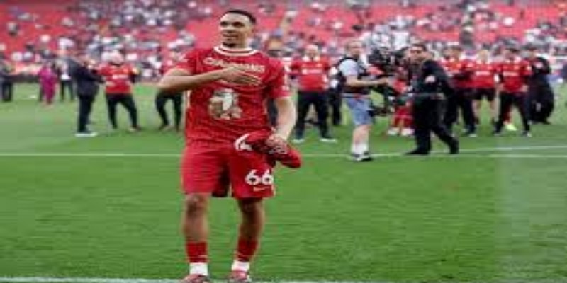 数据透视与未来展望：ag官网预测模型-ag官网