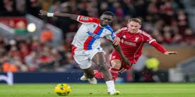 诺维奇阵容困境与主场机会- ag官网